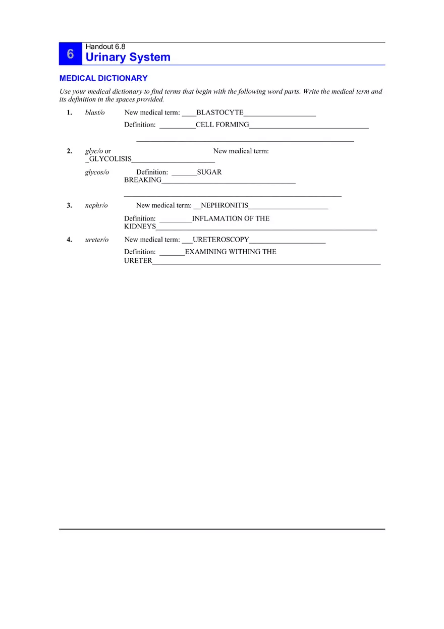 6.8 Urinary System Answers - Page 1