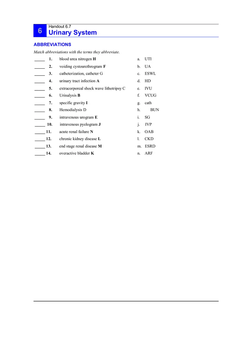 6.7 Urinary System Answers - Page 1