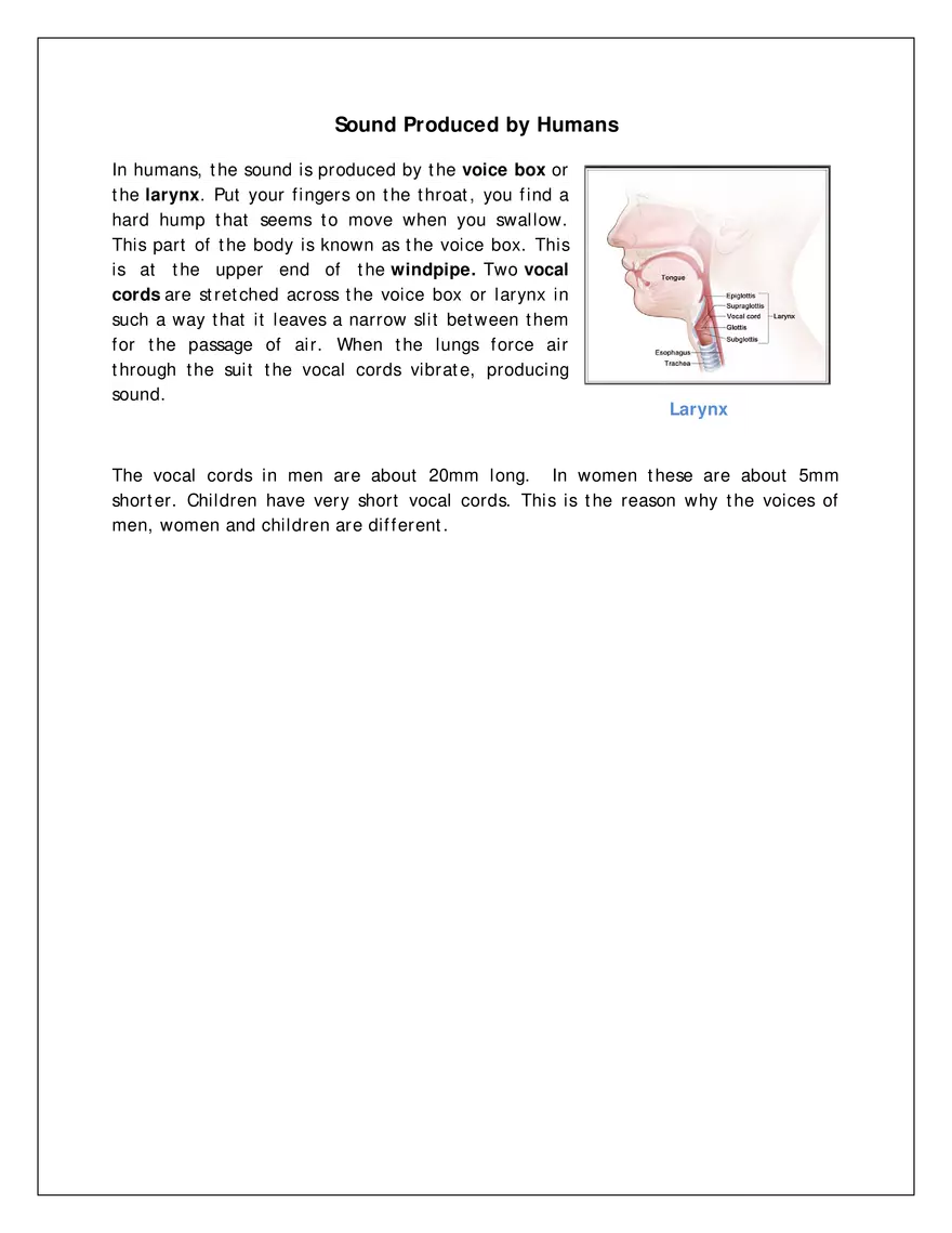 Chapter - 13 Sound - Page 3