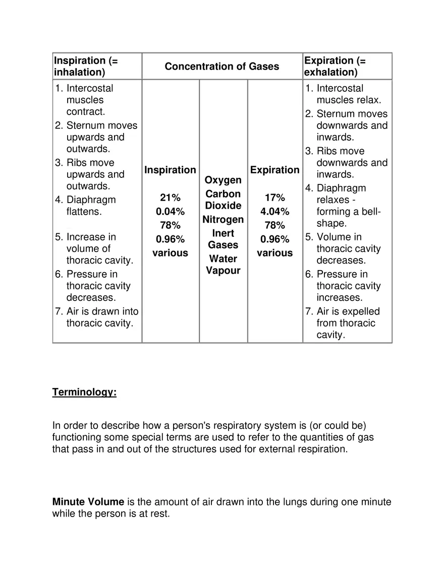 Ques 2 Explain about External Respiration - Page 2