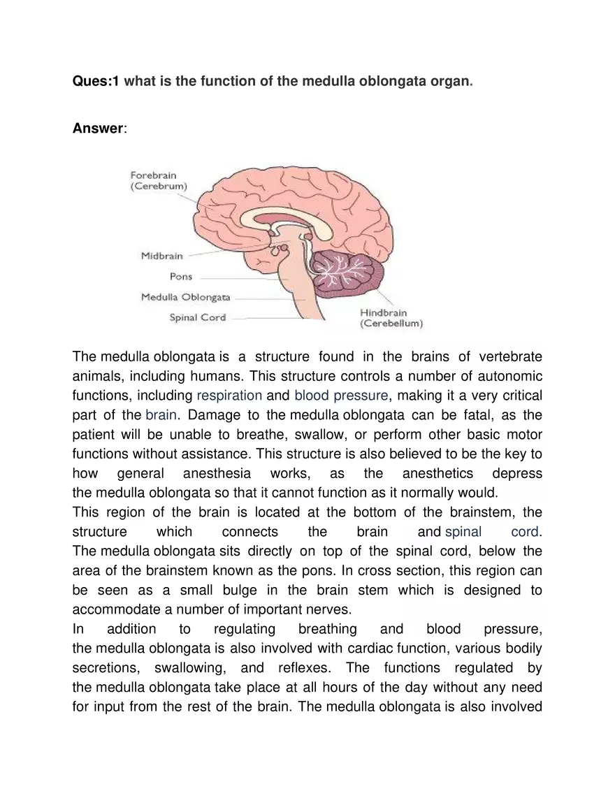 Ques 1 What is the Function of the Medulla Oblongata Organ - Page 1