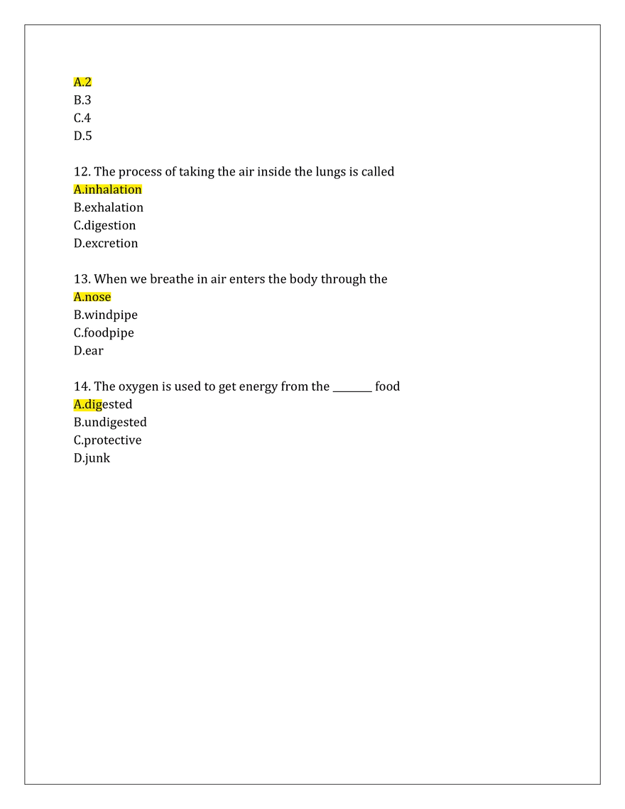 Respiration System Answers - Page 3