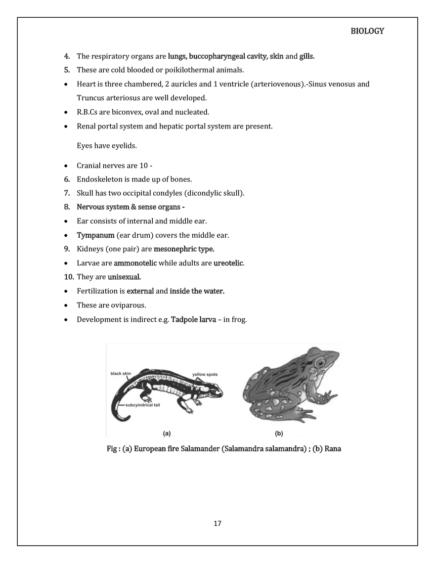 Animal Kingdom Classification of Animals - Page 9