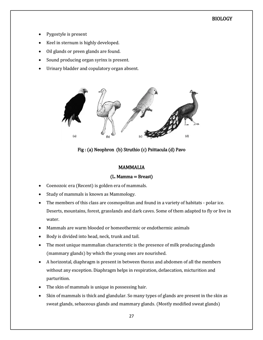 Animal Kingdom Classification of Animals - Page 20