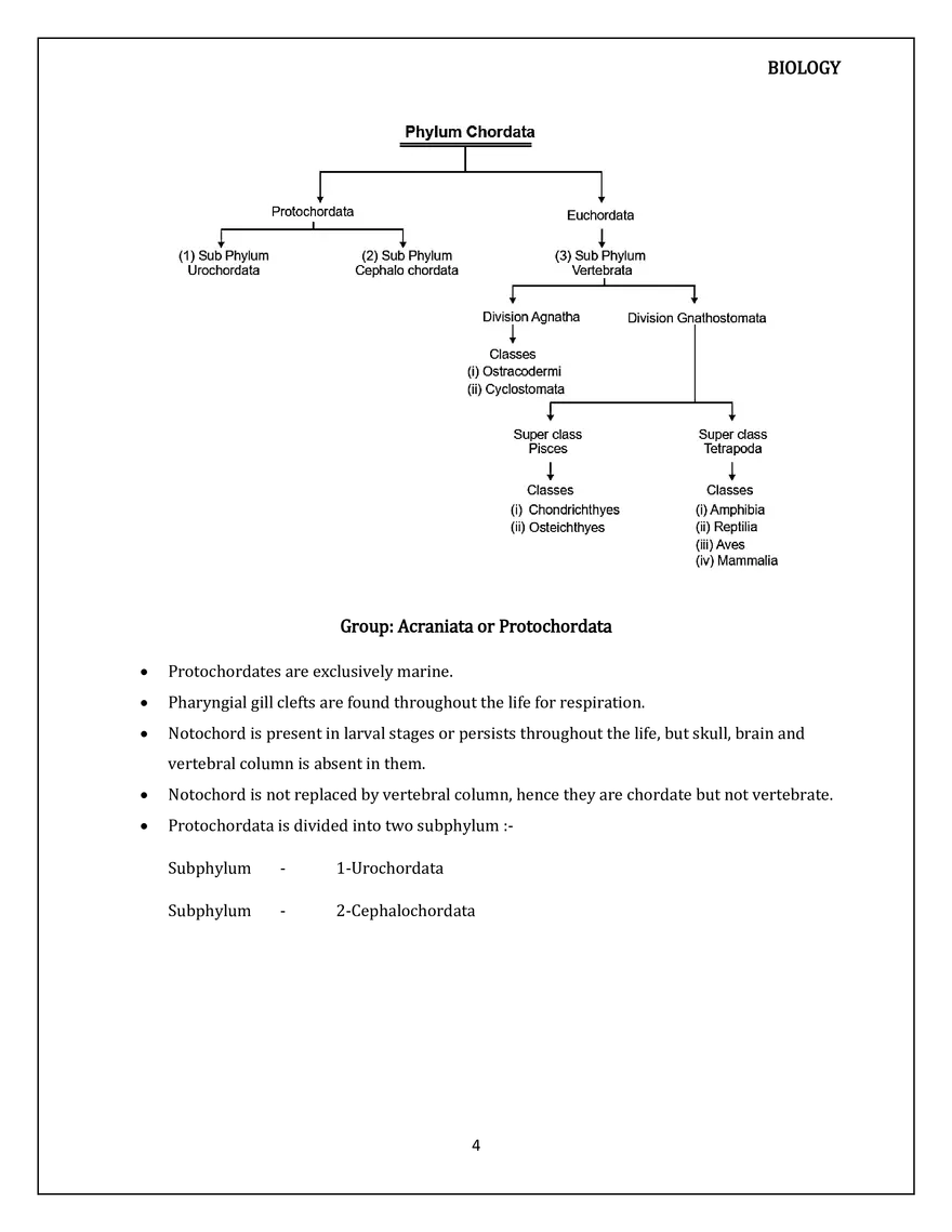 Animal Kingdom Classification of Animals - Page 24