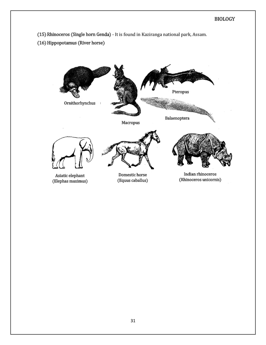 Animal Kingdom Classification of Animals - Page 25