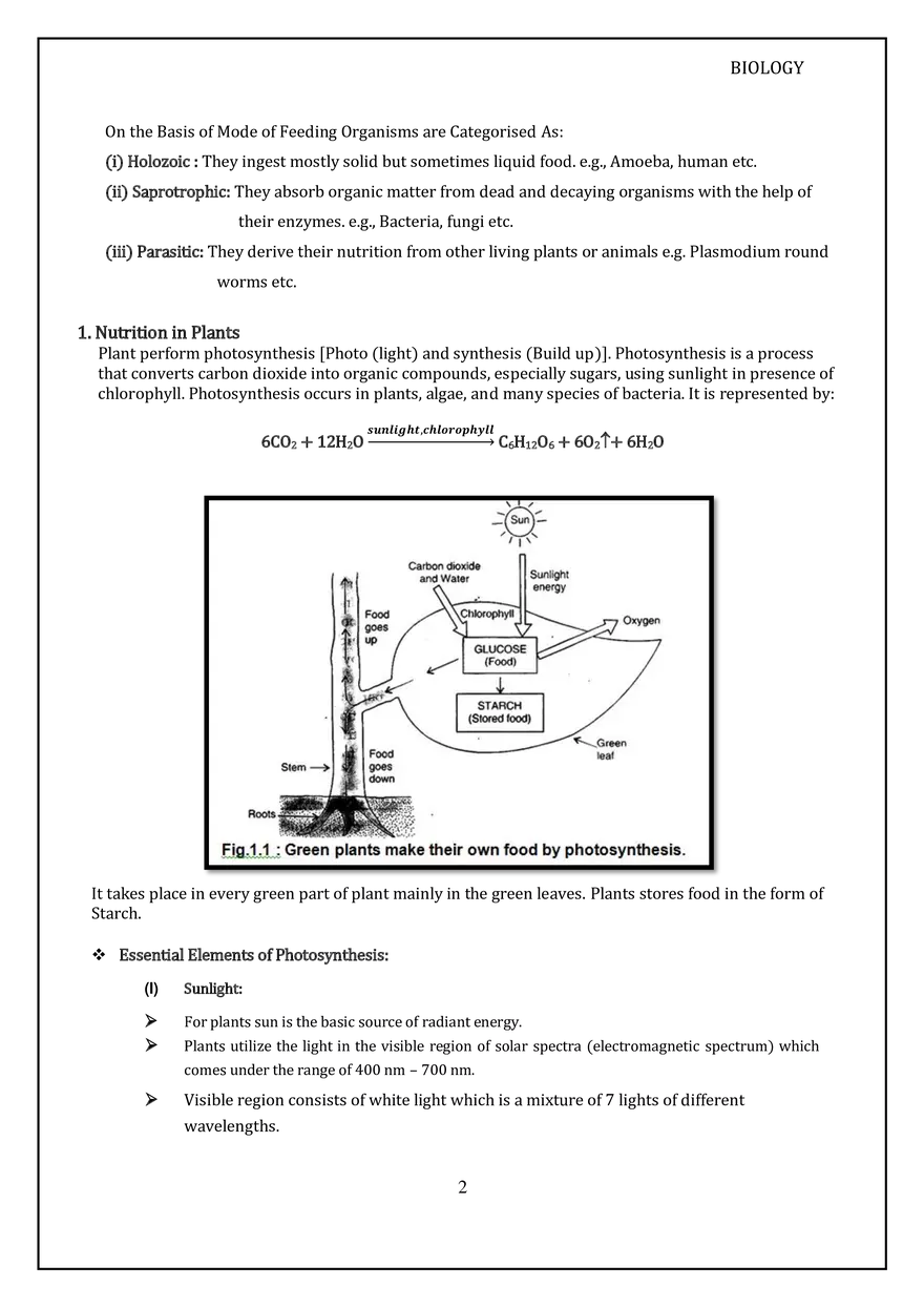 Modes of Nutrition & Photosynthesis - Page 2