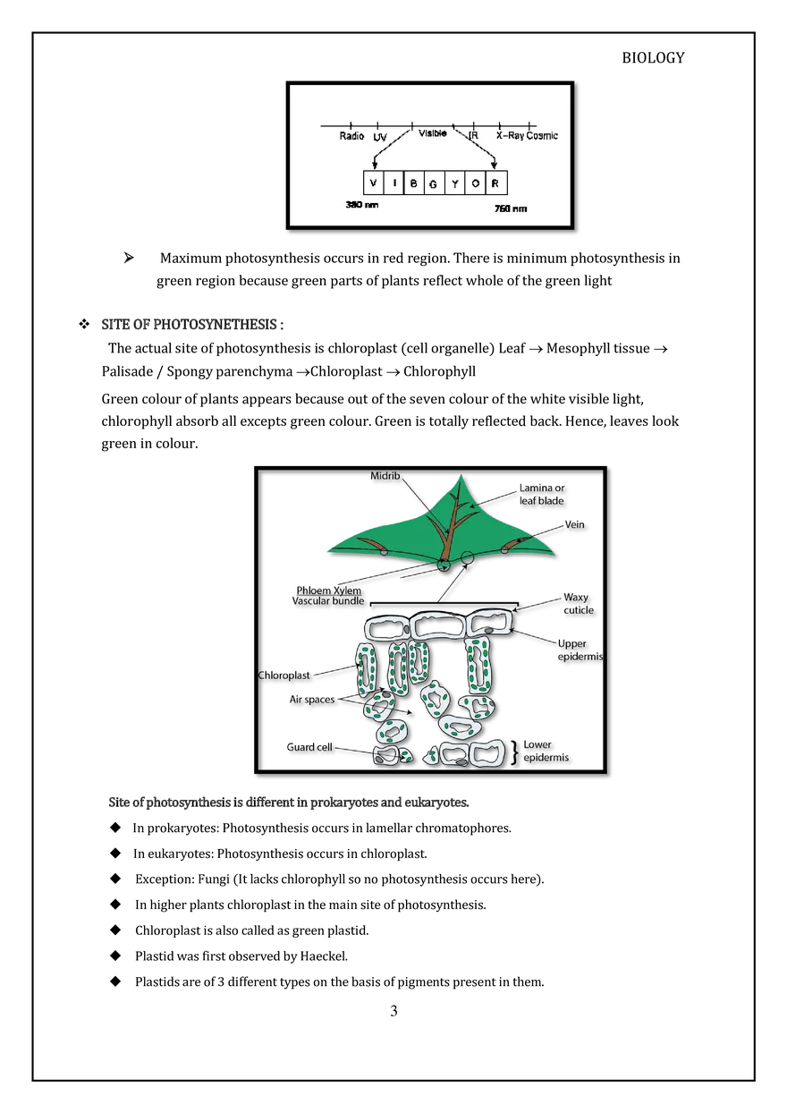 Modes of Nutrition & Photosynthesis - Page 3