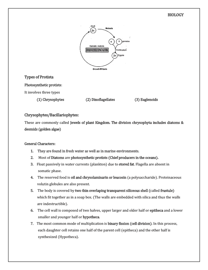 Kingdom Protista - Page 8