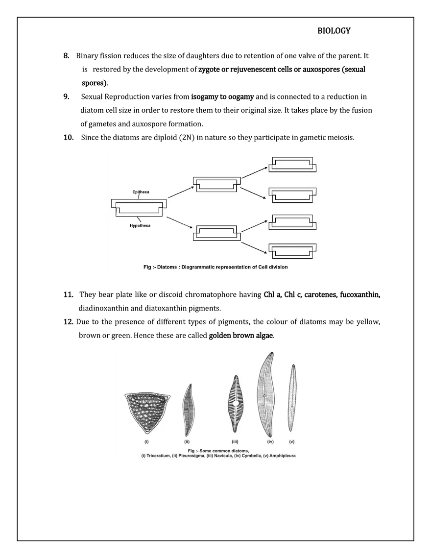 Kingdom Protista - Page 9