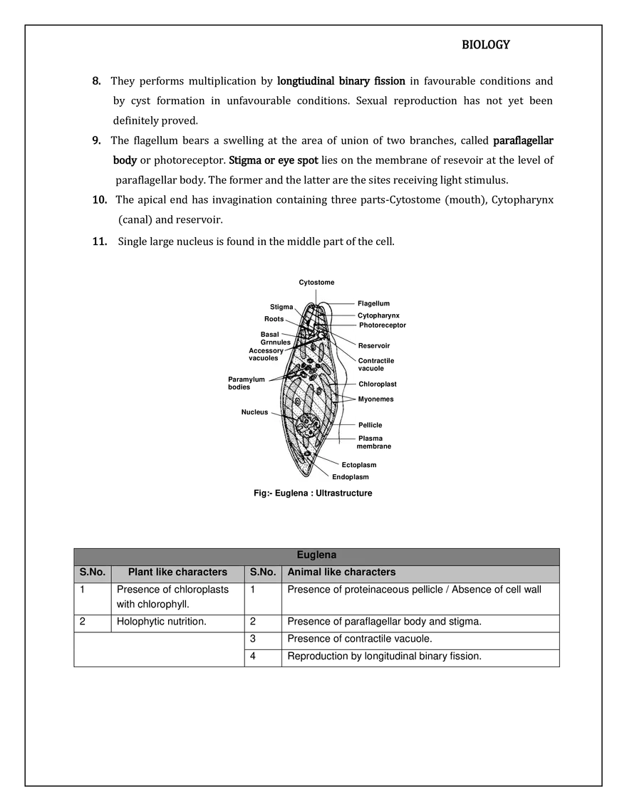 Kingdom Protista - Page 13