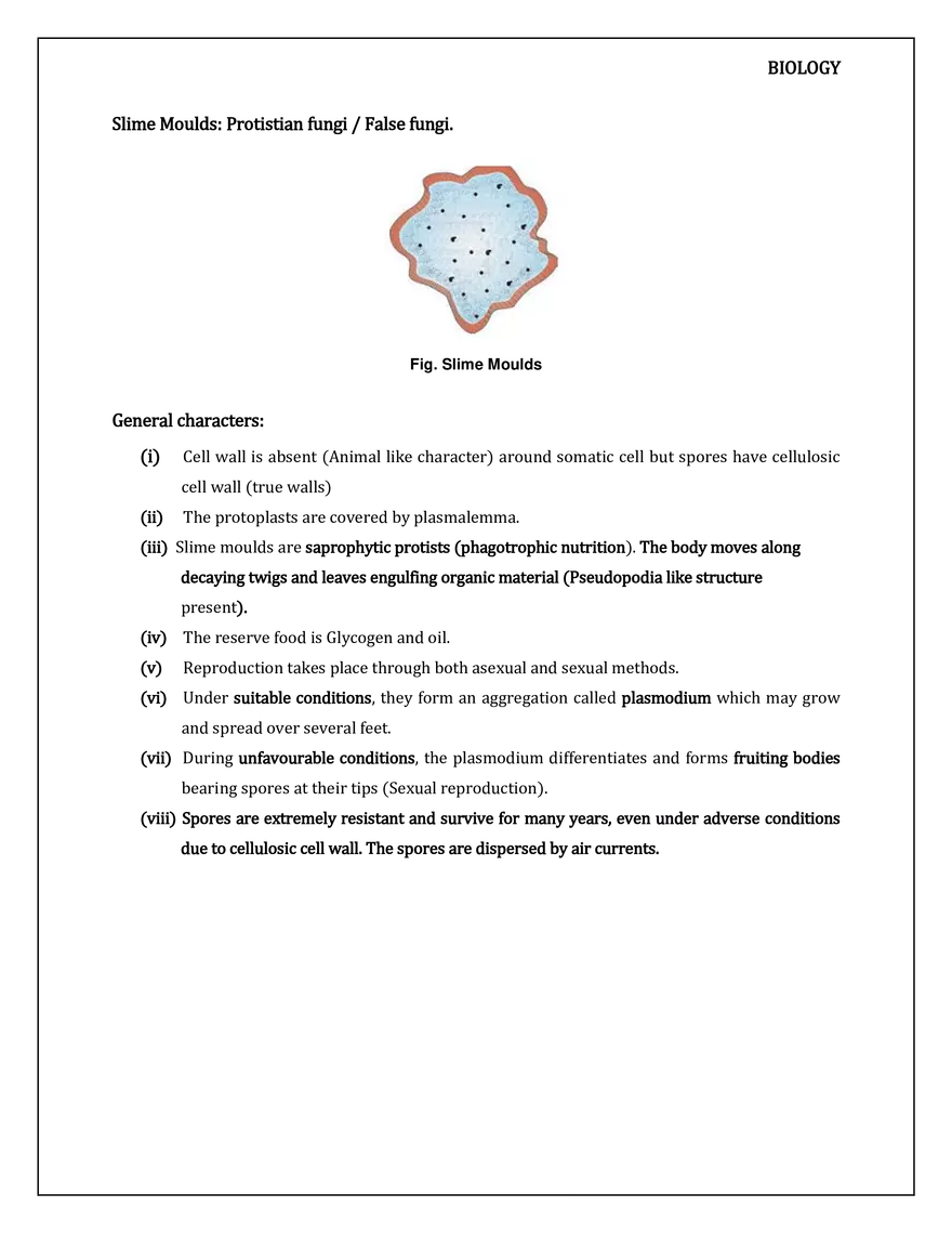 Kingdom Protista - Page 14