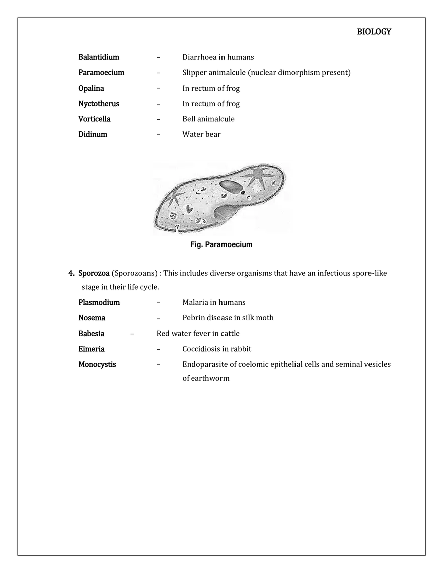 Kingdom Protista - Page 6