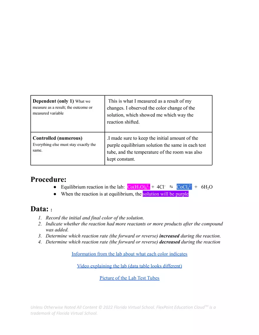 7.05 Equilibrium Template - Page 2