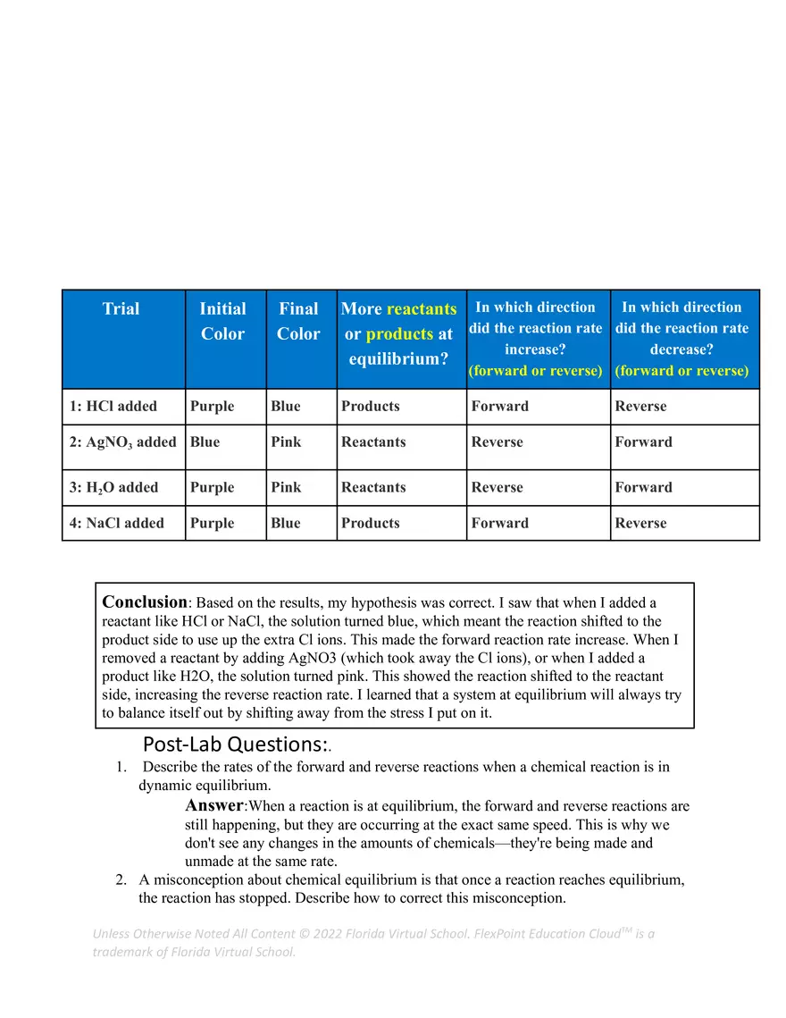 7.05 Equilibrium Template - Page 3