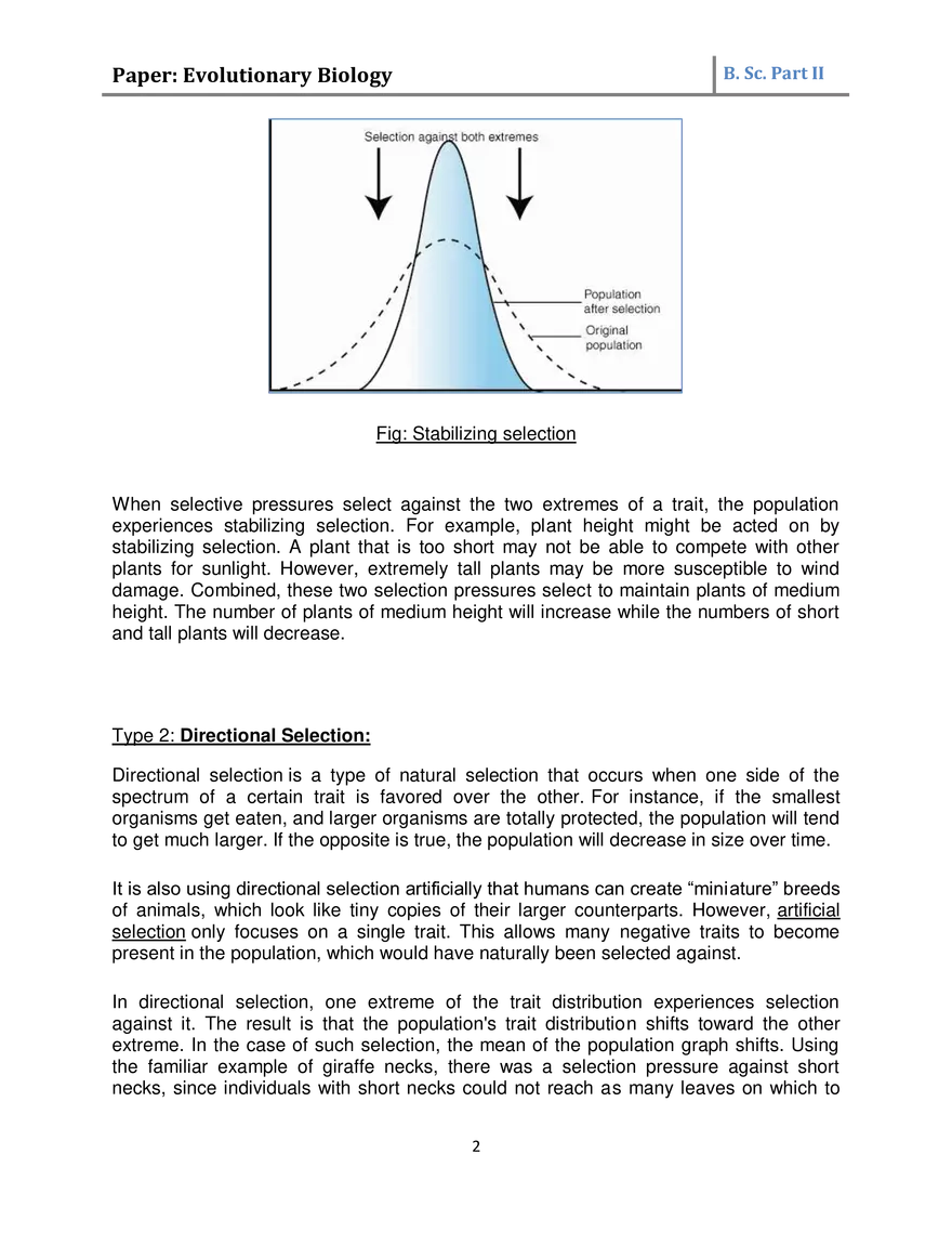 Natural Selection Academic Notes - Page 2