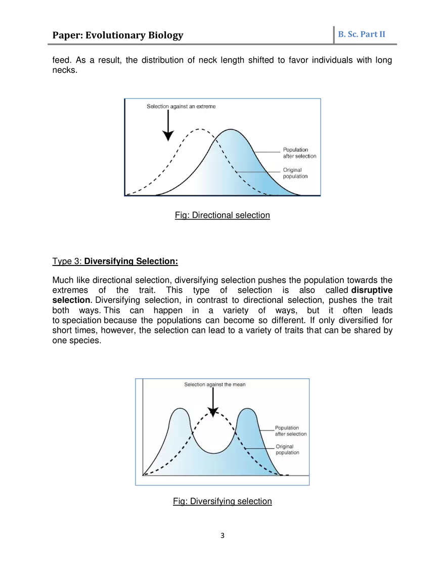 Natural Selection Academic Notes - Page 3