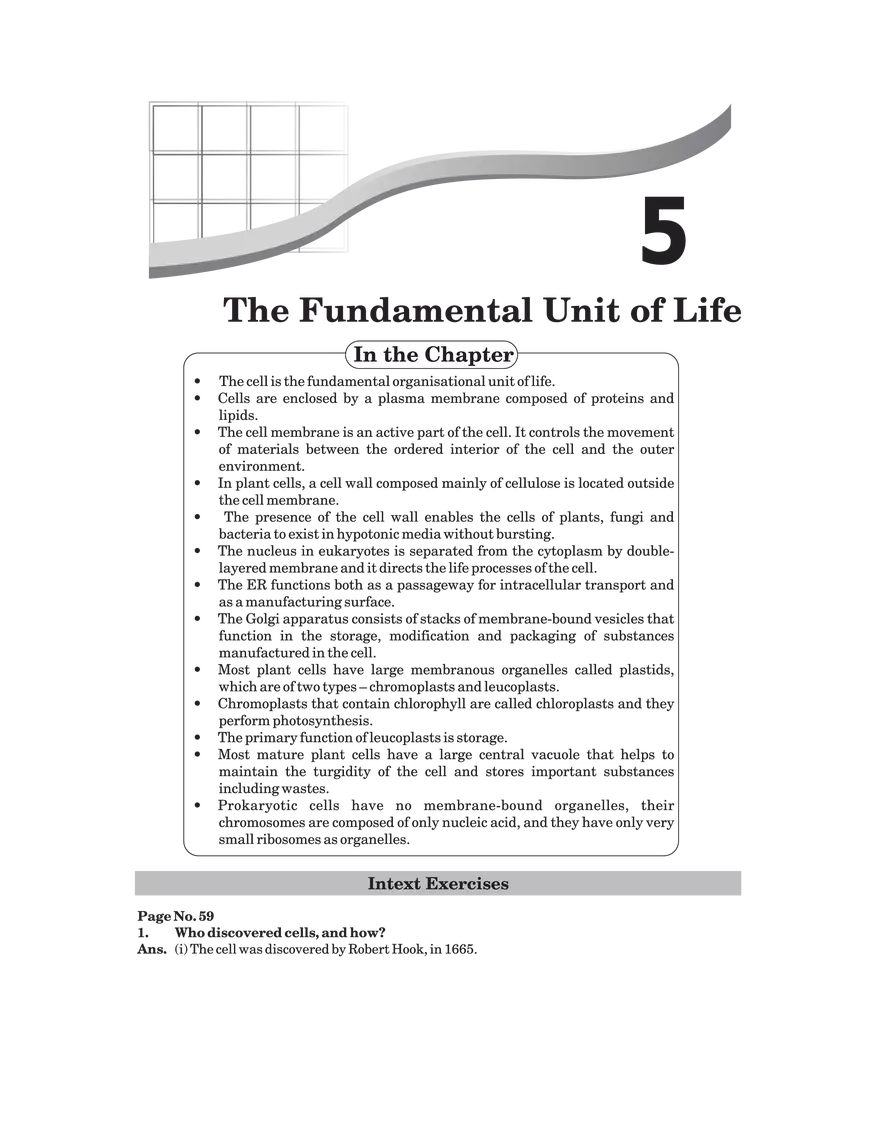 The Fundamental Unit of Life Answers - Page 1