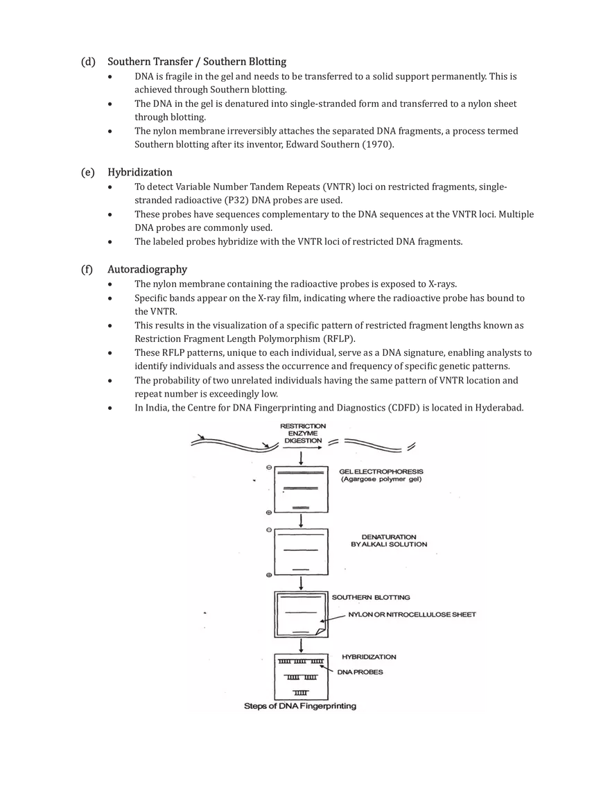 DNA Fingerprinting - Page 2