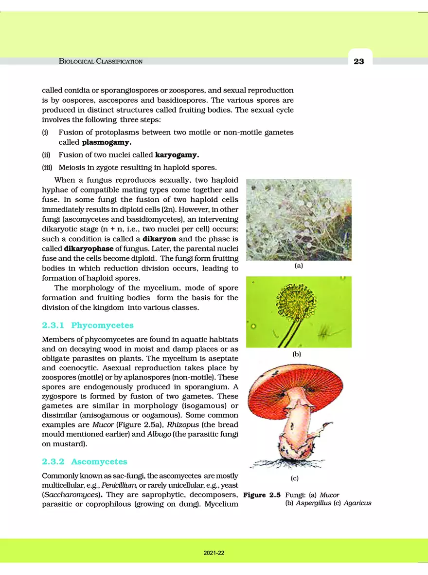 Chapter 2 Biological Classification - Page 11