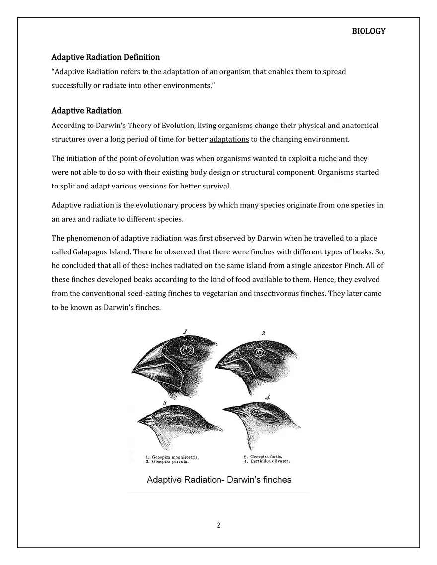 Adaptive Radiation - Page 2