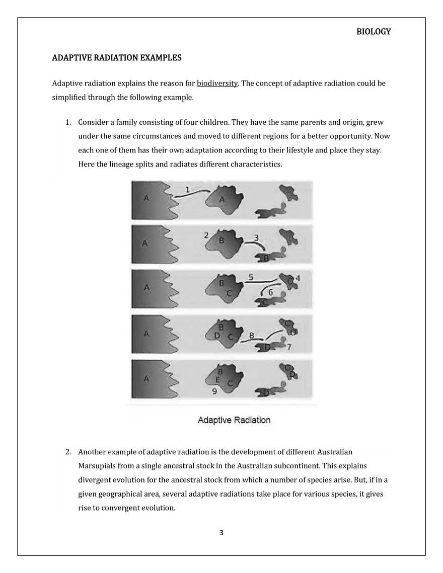 Adaptive Radiation - Page 3