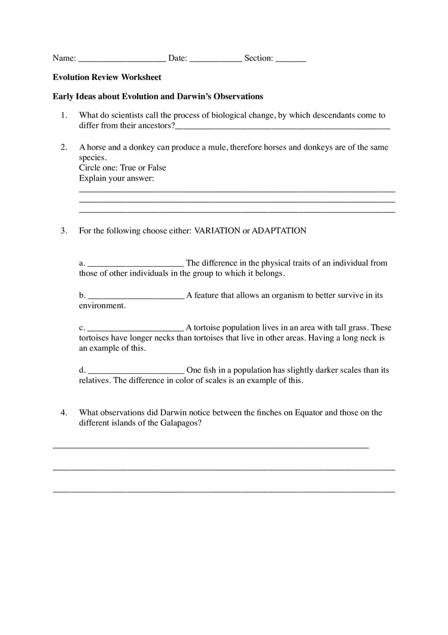 Evolution Review Worksheet - Page 1