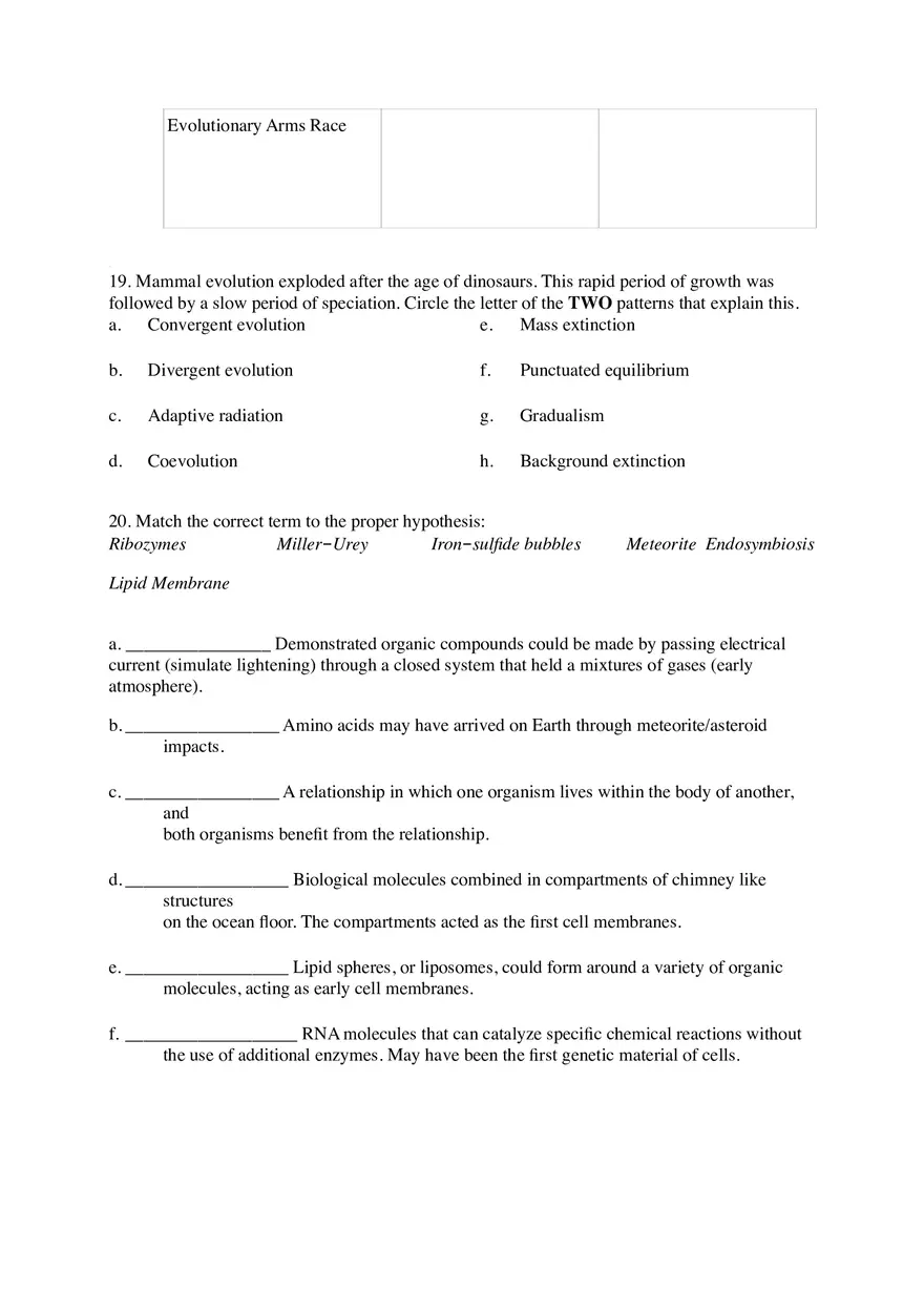 Evolution Review Worksheet - Page 5