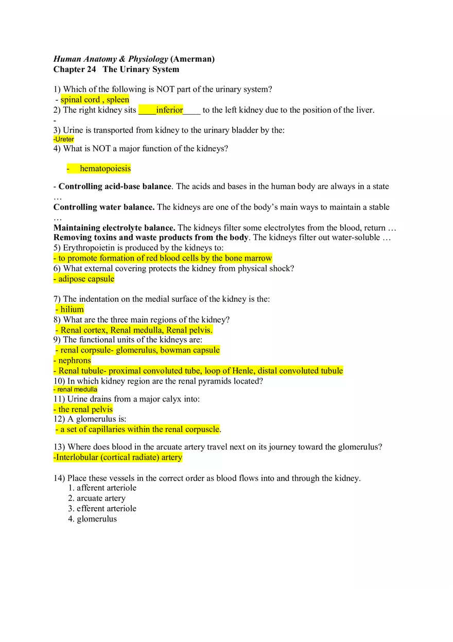 Chapter 24 The Urinary System Key - Page 1