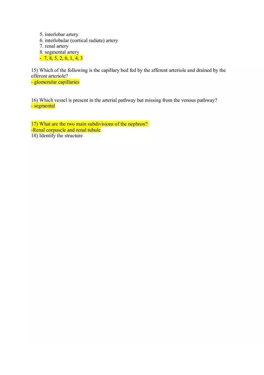 Chapter 24 The Urinary System Key - Page 2