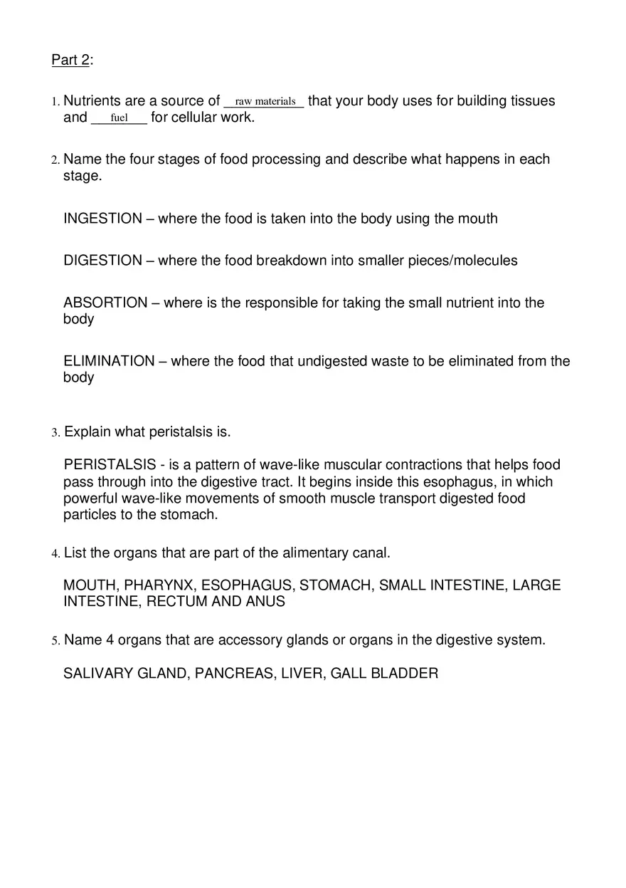 Digestive System Worksheet - Page 2