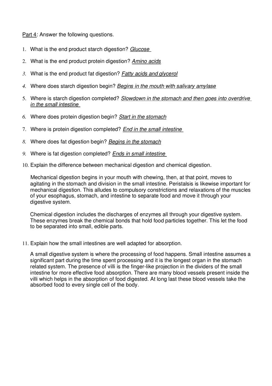 Digestive System Worksheet - Page 4