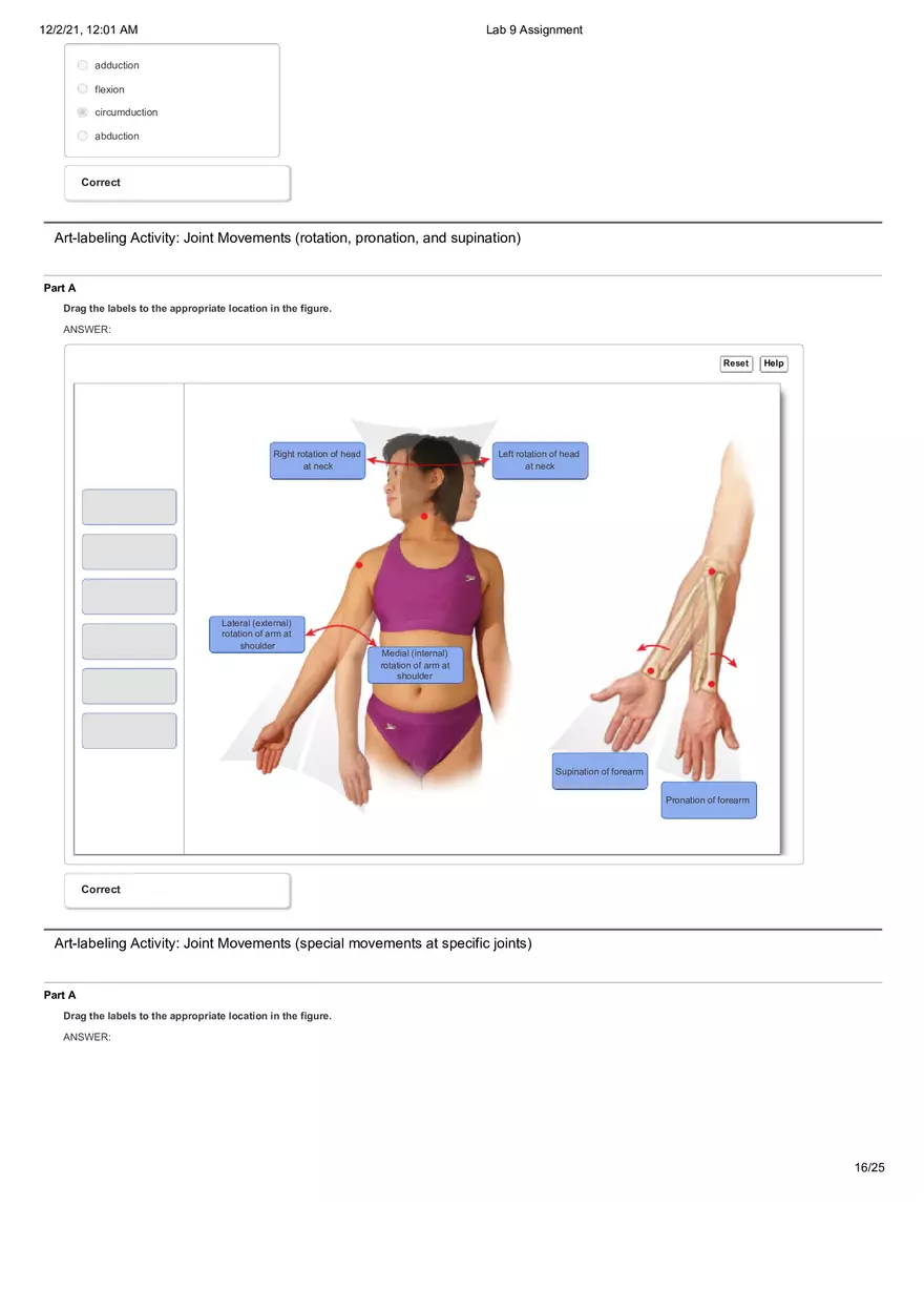 Anatomy Lab 9 Assignment - Page 8
