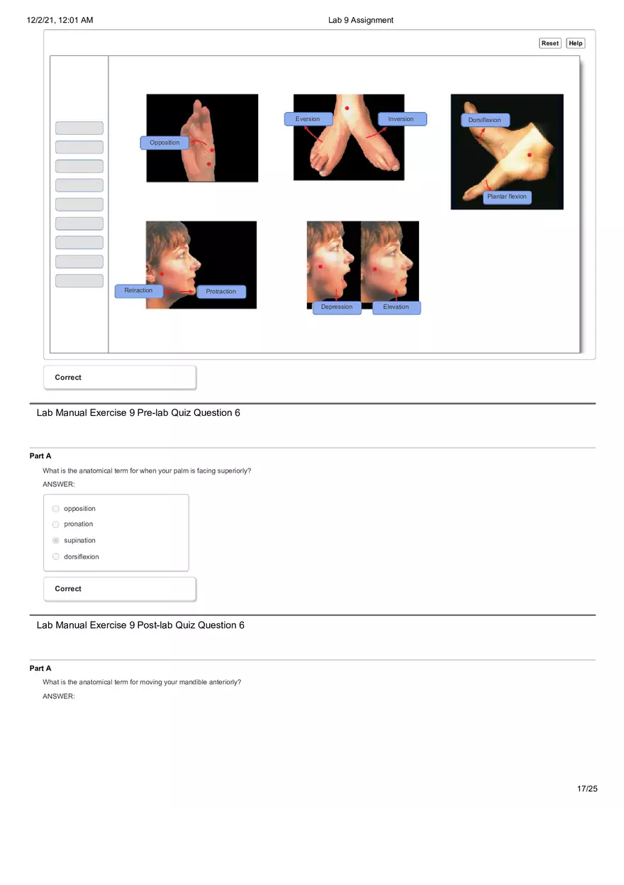 Anatomy Lab 9 Assignment - Page 9