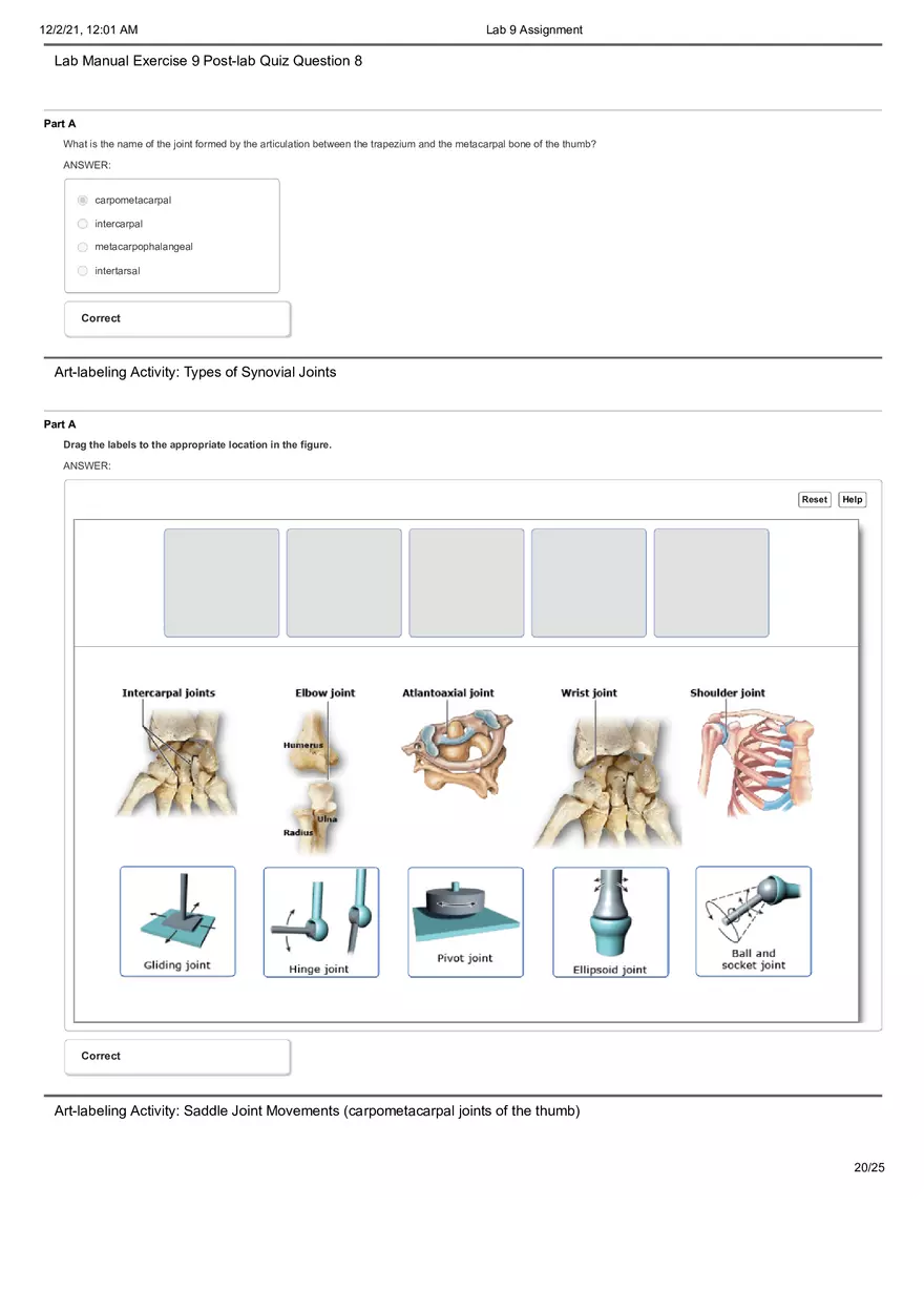 Anatomy Lab 9 Assignment - Page 12