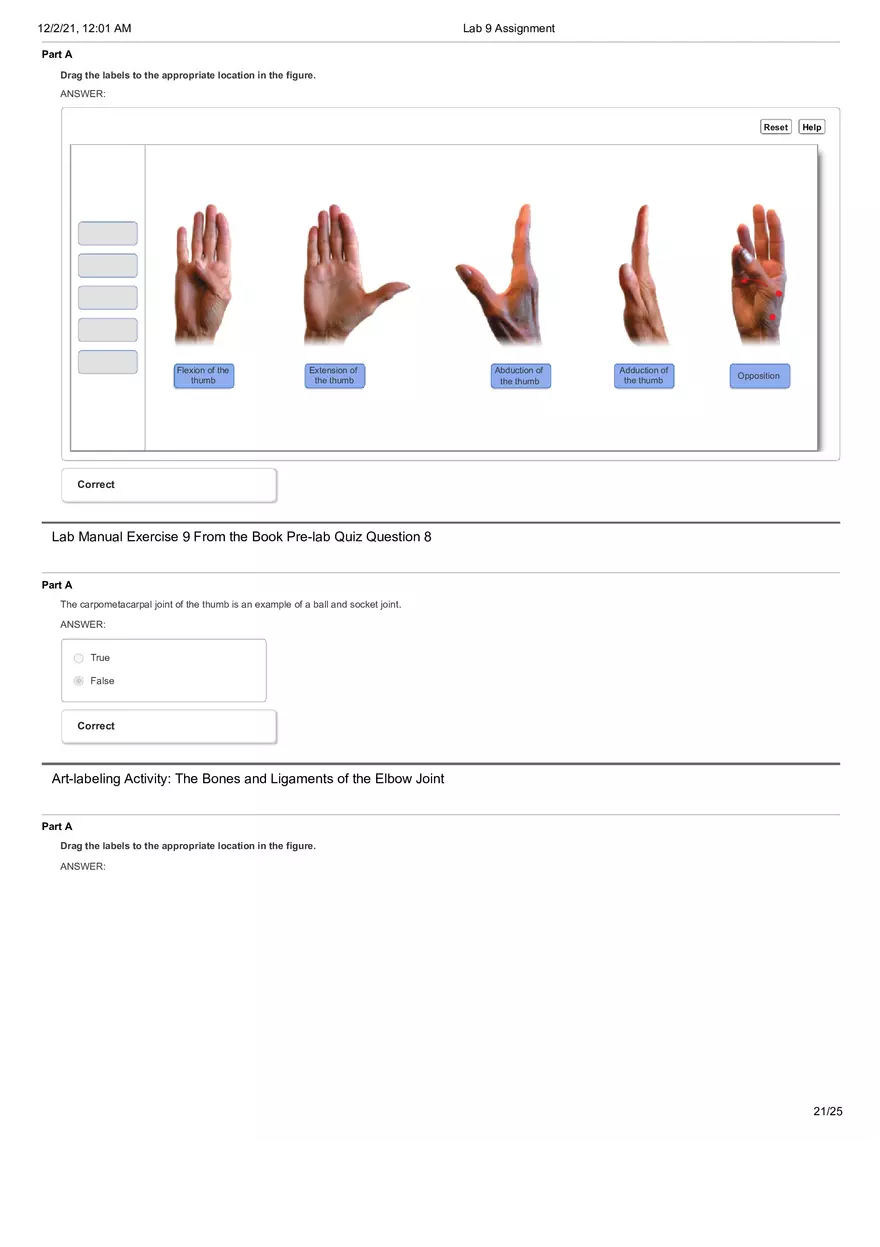 Anatomy Lab 9 Assignment - Page 14