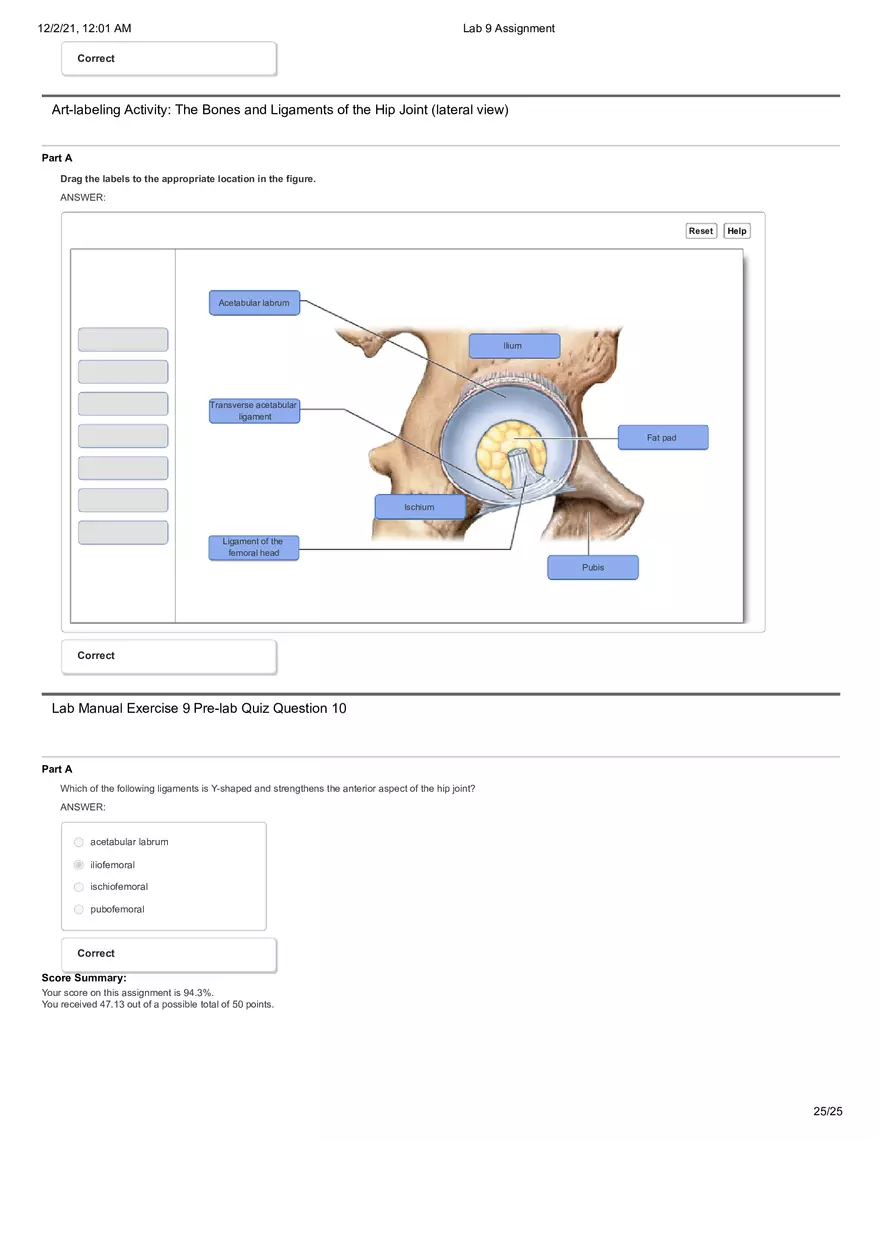 Anatomy Lab 9 Assignment - Page 18