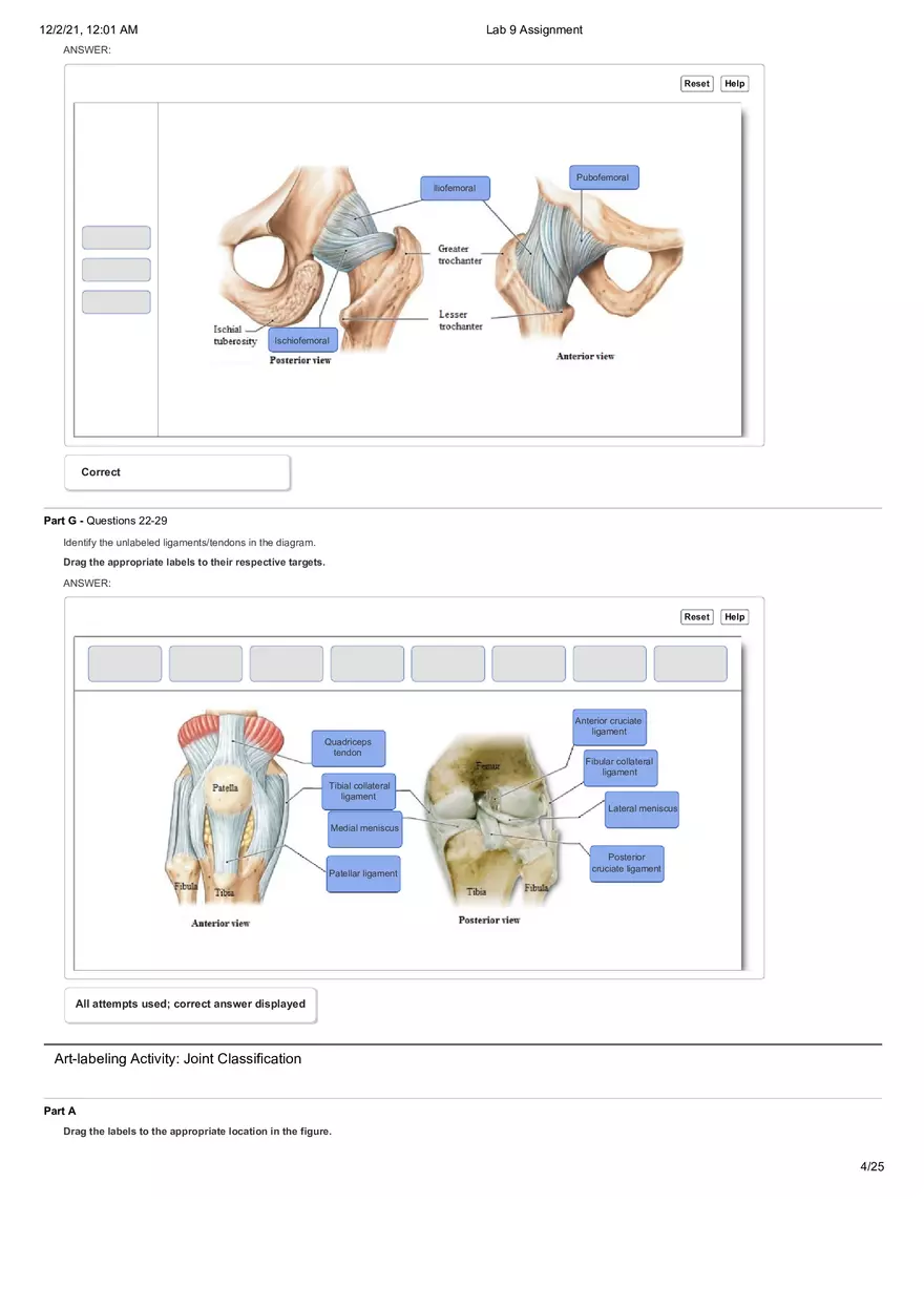Anatomy Lab 9 Assignment - Page 19