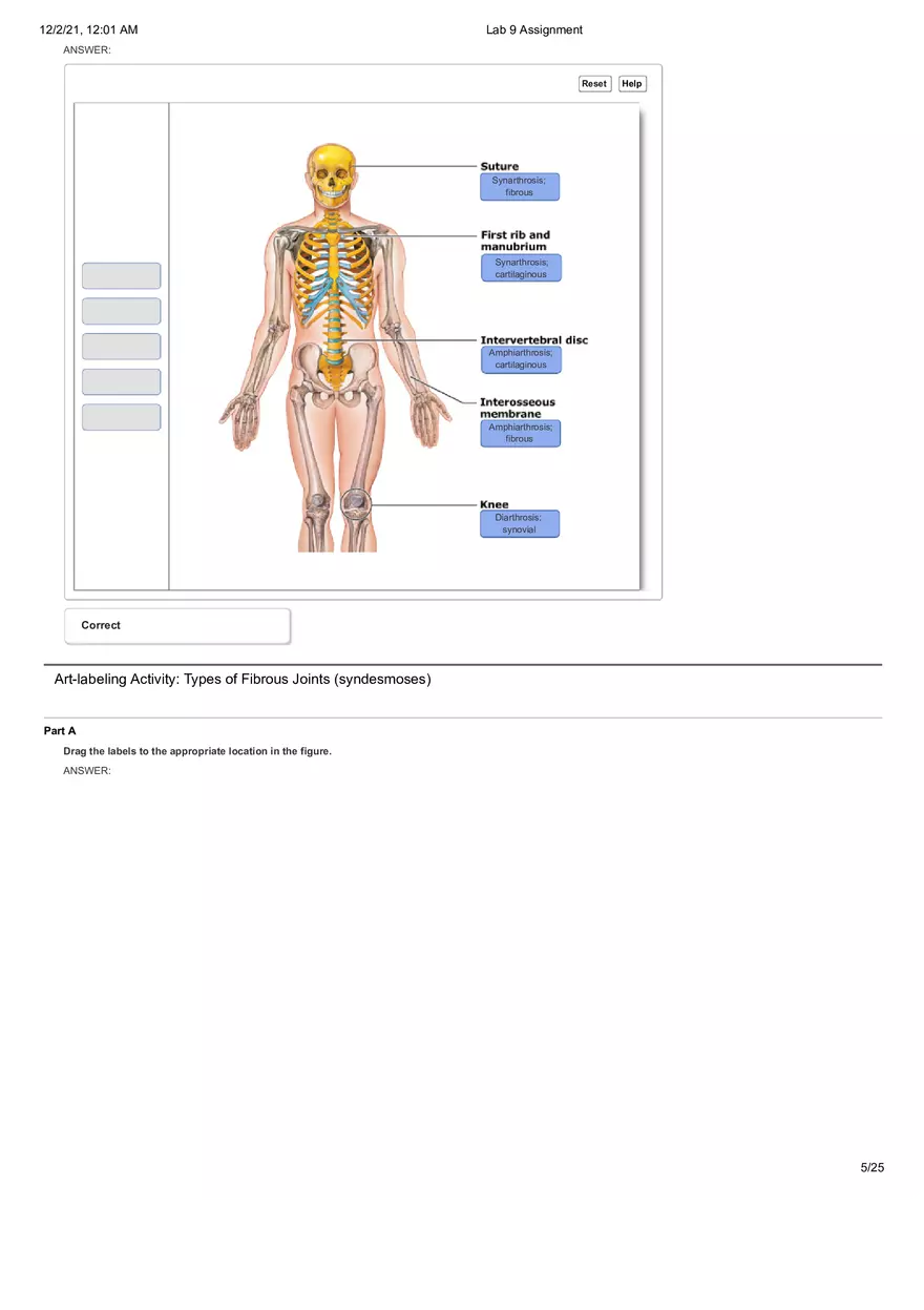 Anatomy Lab 9 Assignment - Page 20