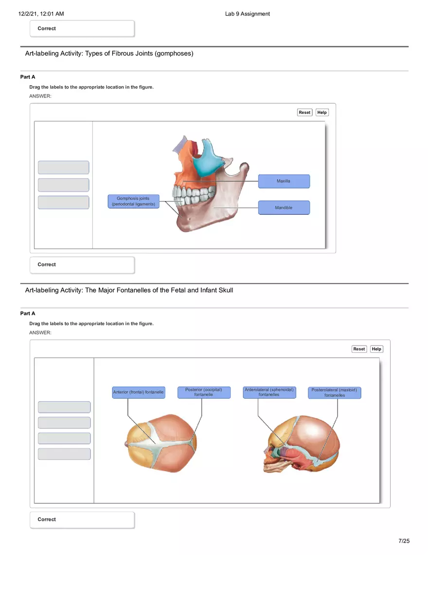 Anatomy Lab 9 Assignment - Page 22