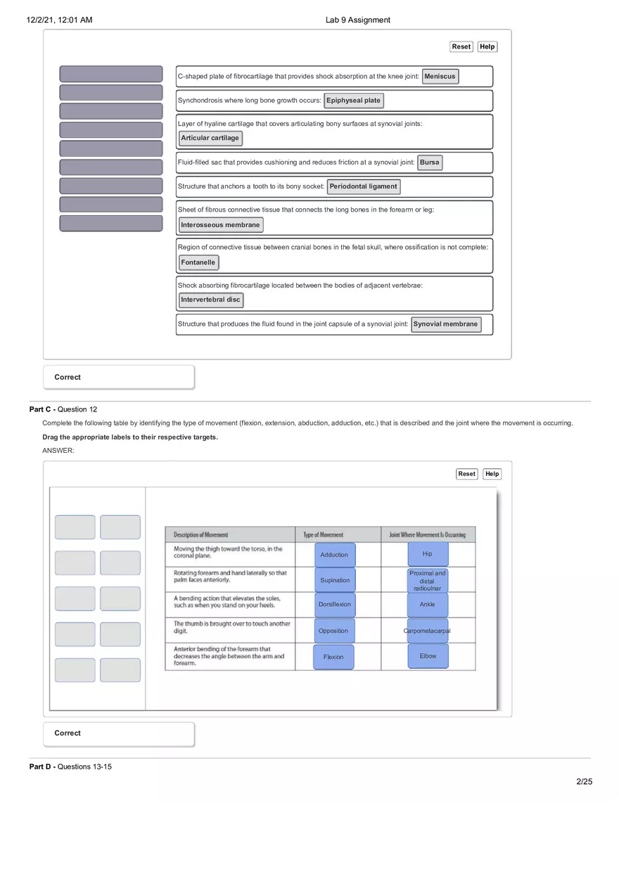 Anatomy Lab 9 Assignment - Page 2