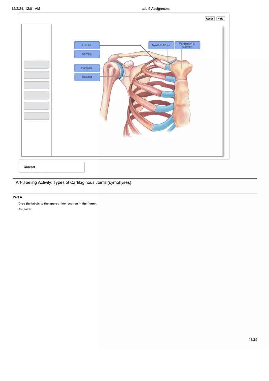 Anatomy Lab 9 Assignment - Page 3