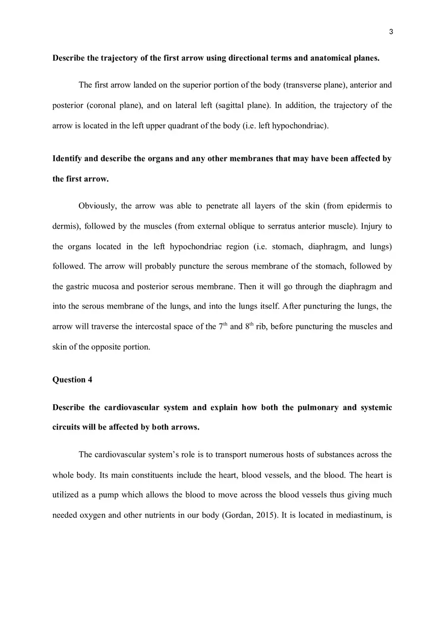 A Patient is Brought to the Emergency Department - Page 3