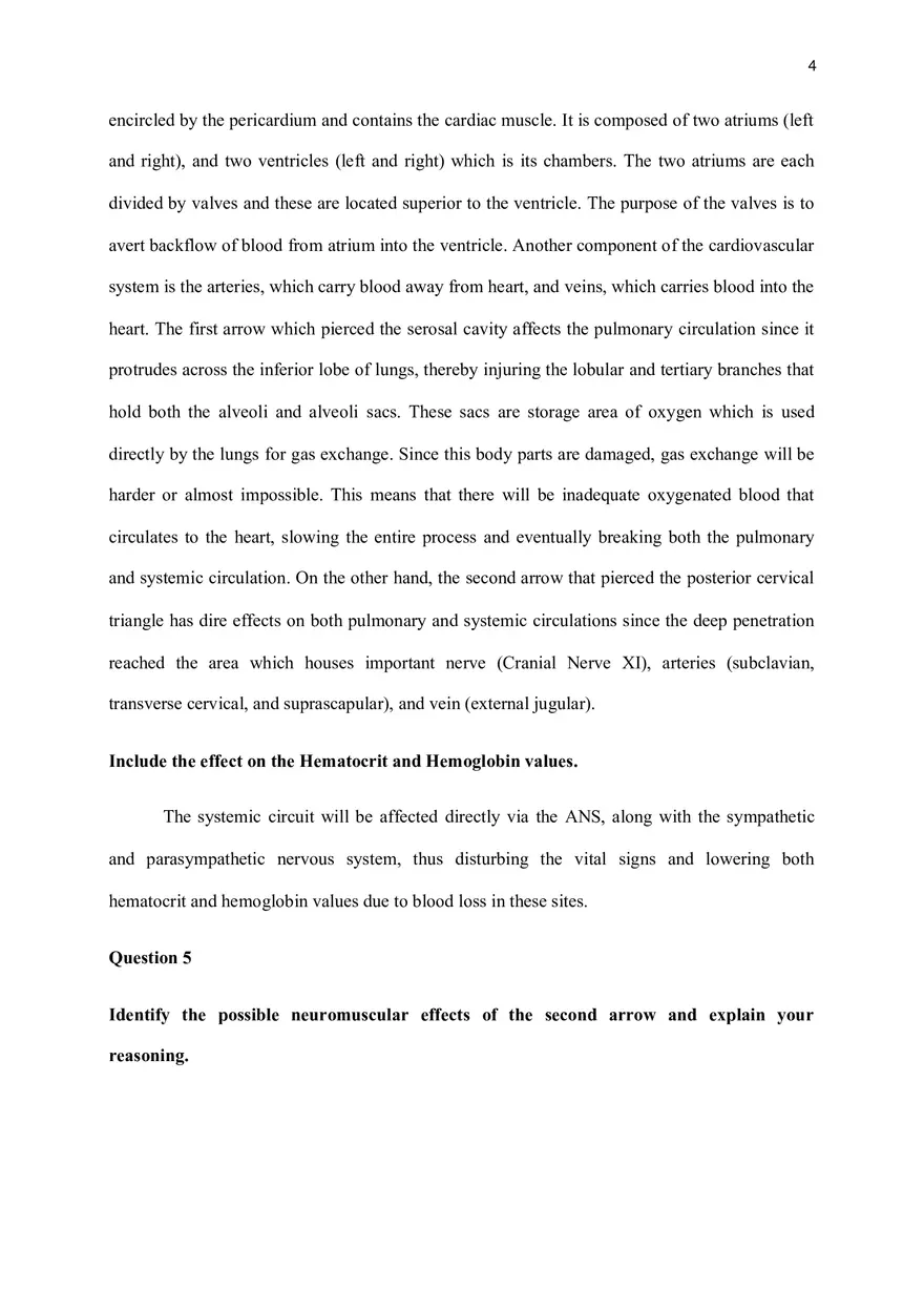 A Patient is Brought to the Emergency Department - Page 4