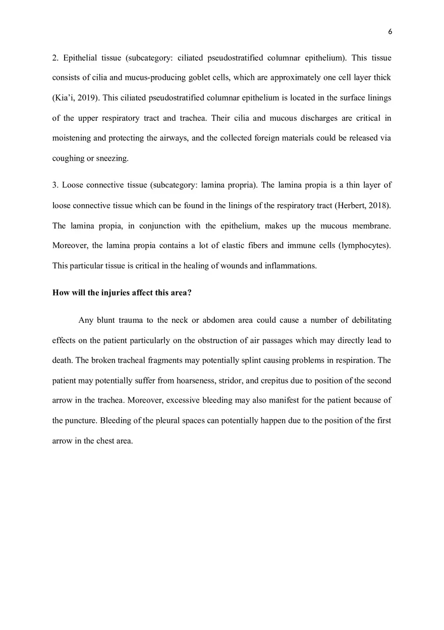 A Patient is Brought to the Emergency Department - Page 6