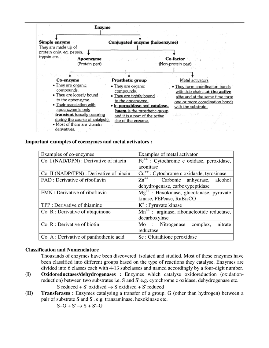 Respiration in Plants - Page 10