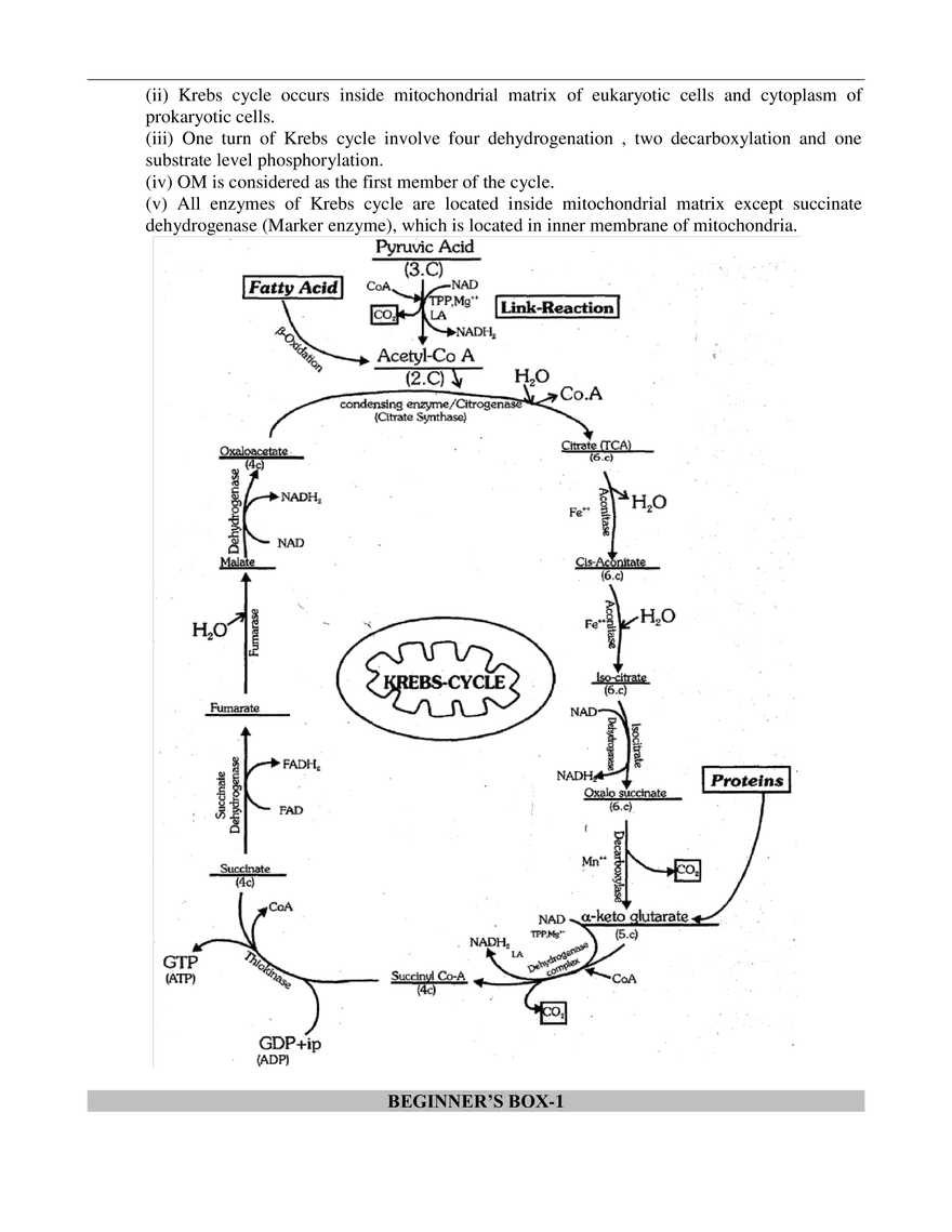 Respiration in Plants - Page 18