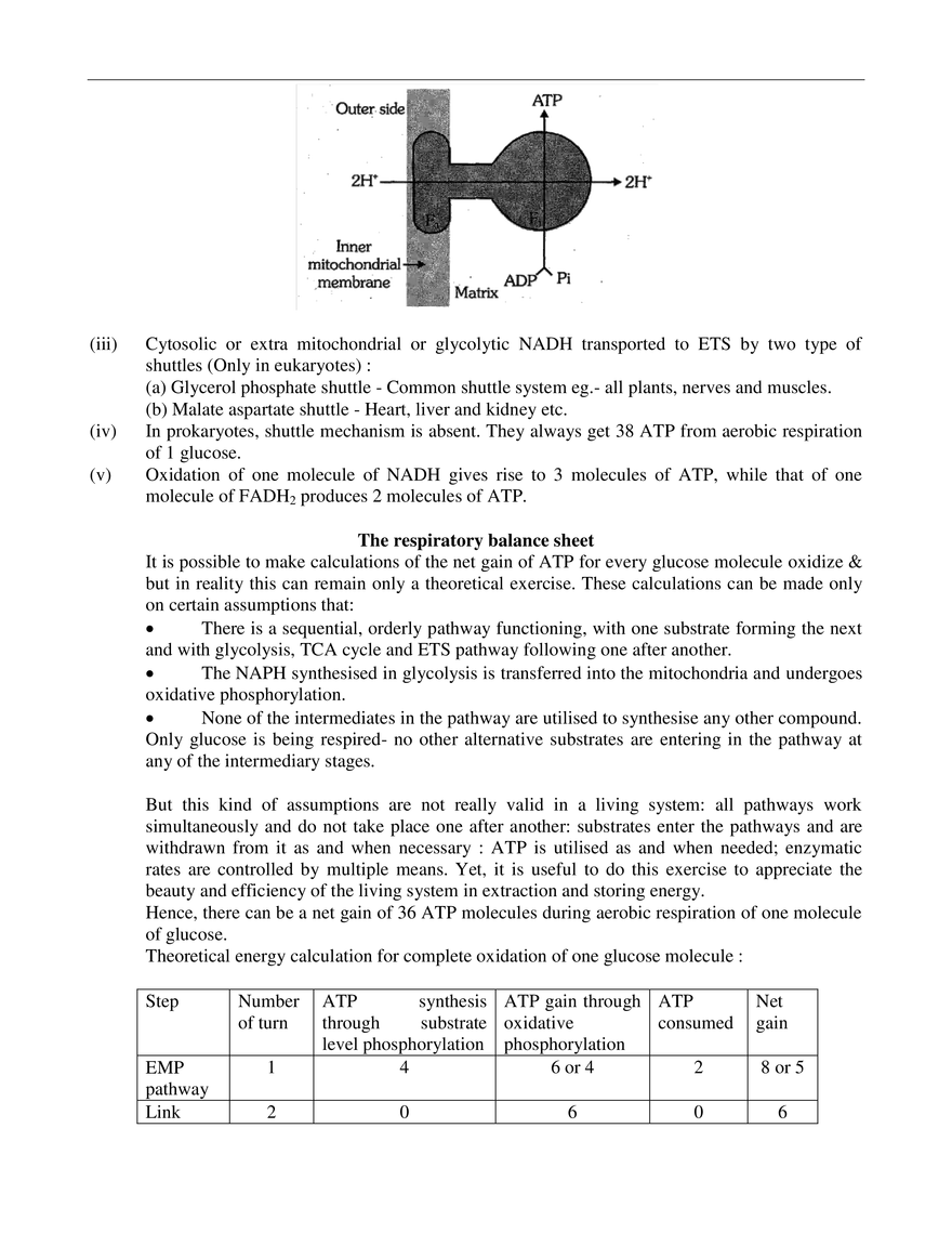 Respiration in Plants - Page 22