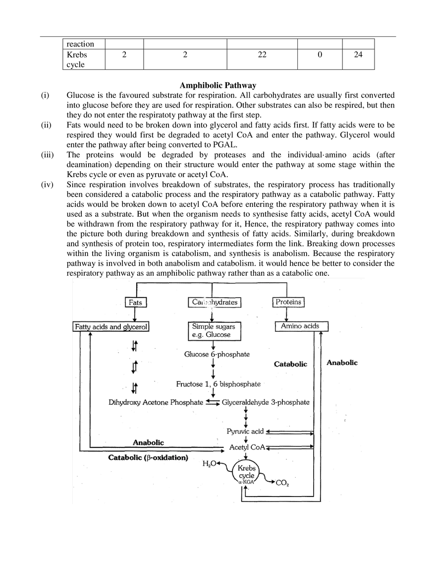 Respiration in Plants - Page 23