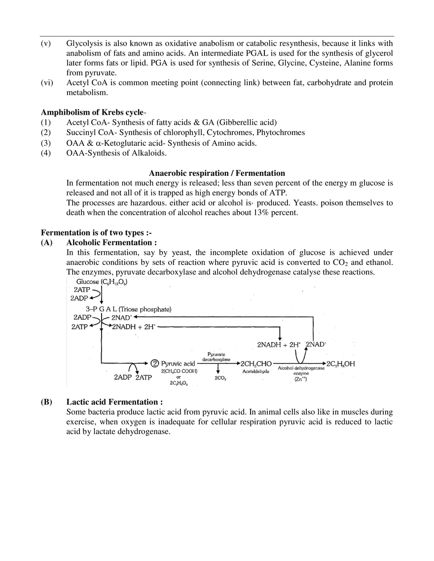 Respiration in Plants - Page 3